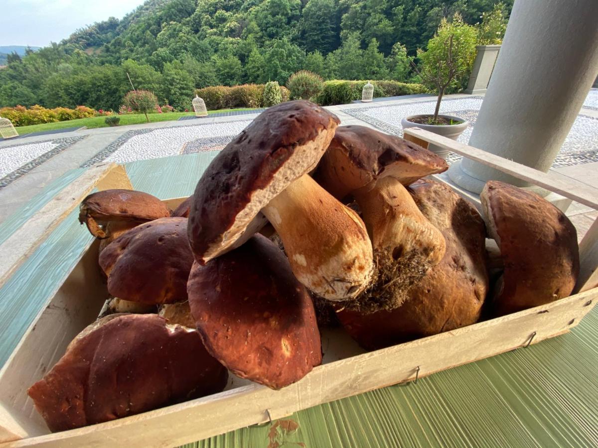 Agriturismo Grammelot サルニコ エクステリア 写真