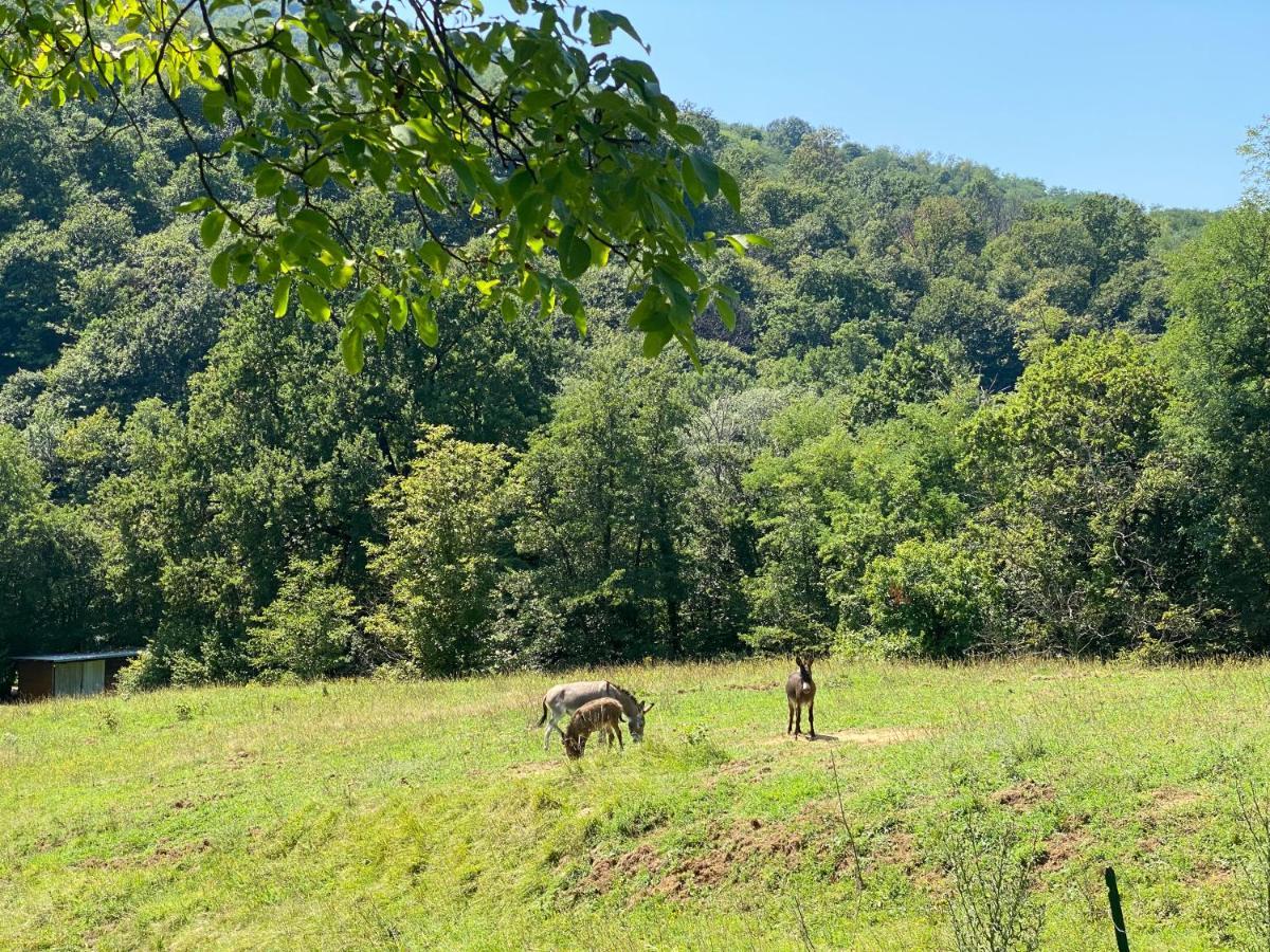 Agriturismo Grammelot サルニコ エクステリア 写真