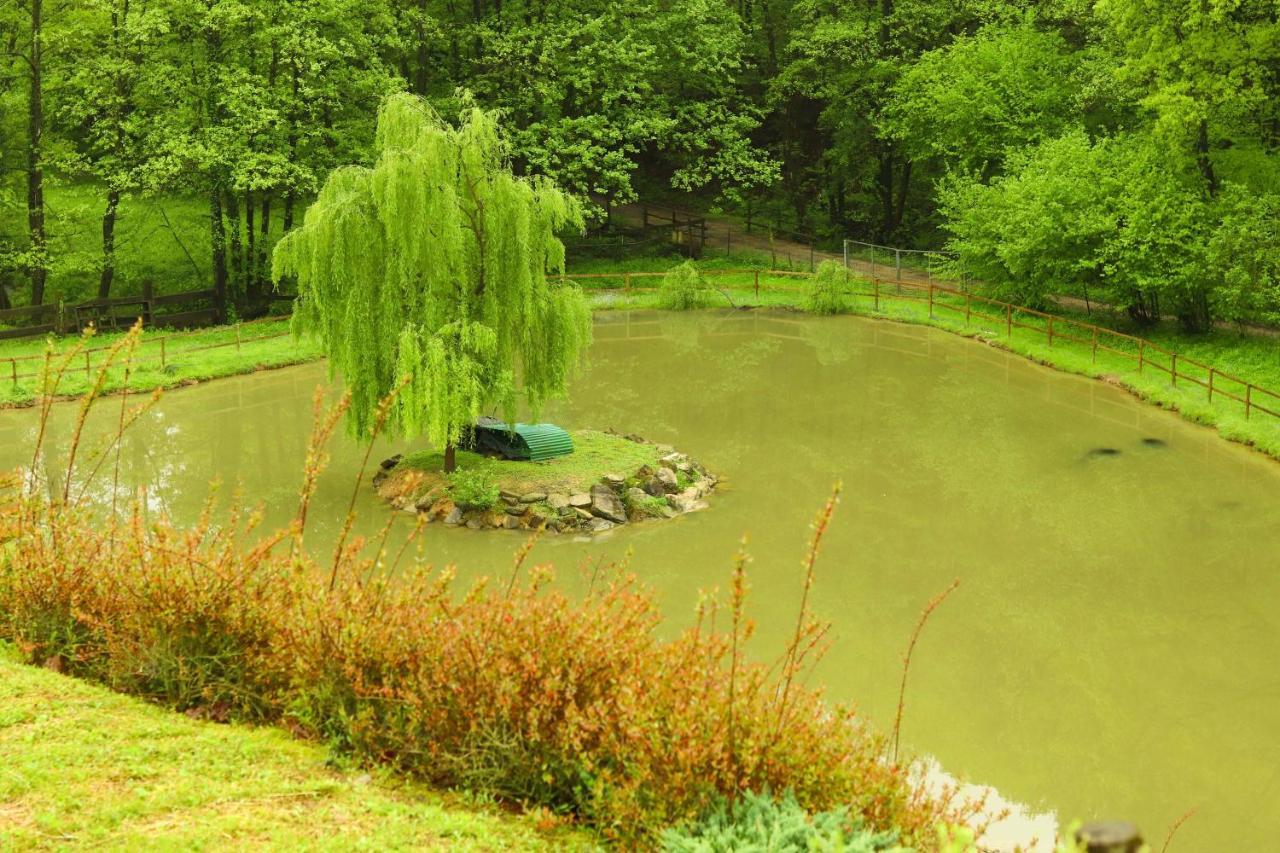 Agriturismo Grammelot サルニコ エクステリア 写真