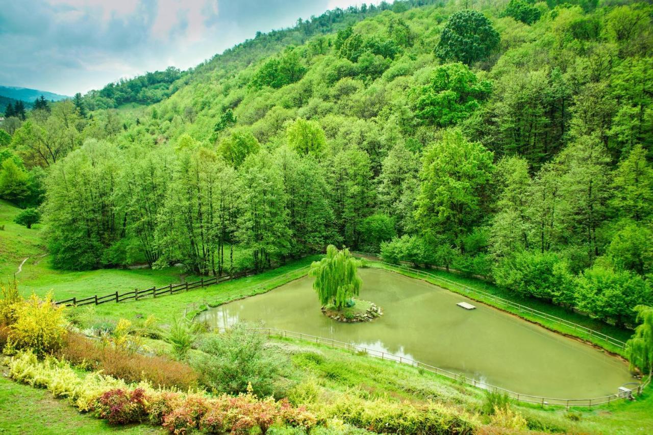 Agriturismo Grammelot サルニコ エクステリア 写真